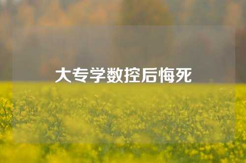 大专学数控后悔死