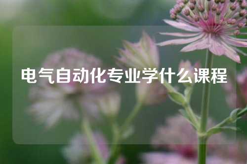 电气自动化专业学什么课程