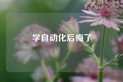 学自动化后悔了