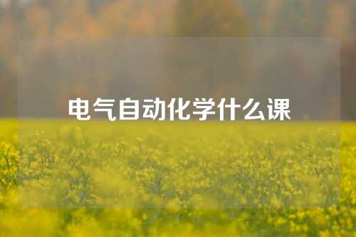 电气自动化学什么课