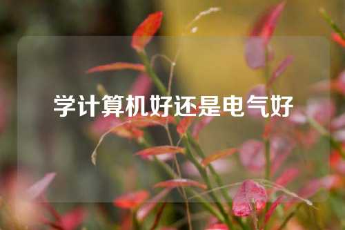 学计算机好还是电气好