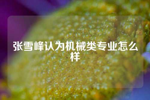 张雪峰认为机械类专业怎么样