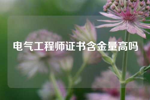 电气工程师证书含金量高吗