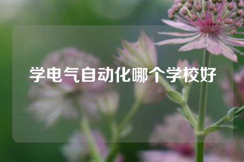 学电气自动化哪个学校好