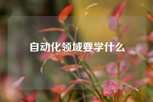 自动化领域要学什么