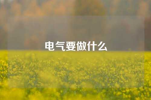 电气要做什么