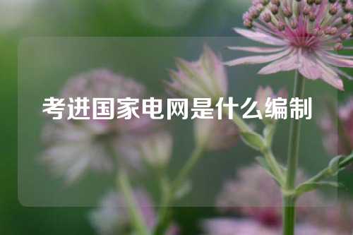 考进国家电网是什么编制