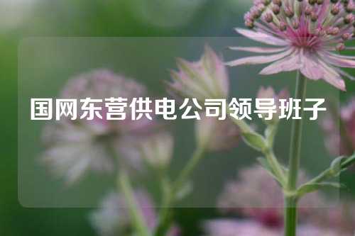 国网东营供电公司领导班子