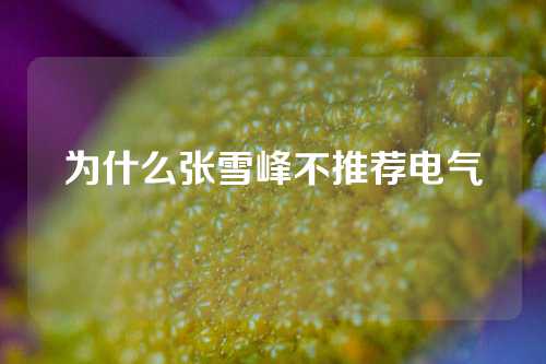 为什么张雪峰不推荐电气