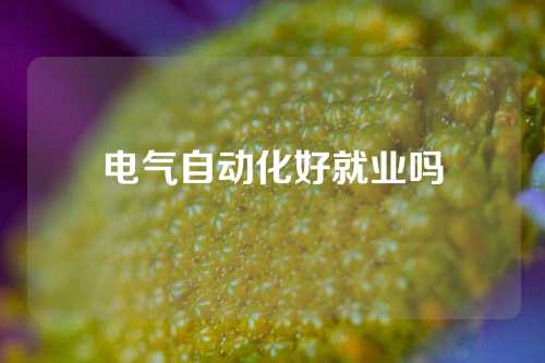 电气自动化好就业吗