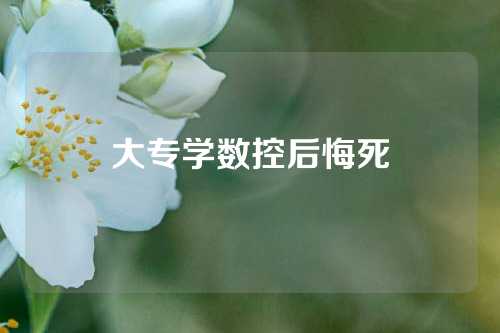 大专学数控后悔死