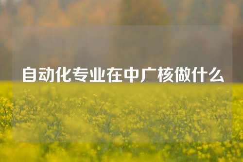 自动化专业在中广核做什么