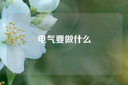 电气要做什么