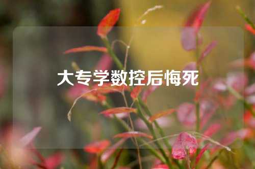 大专学数控后悔死