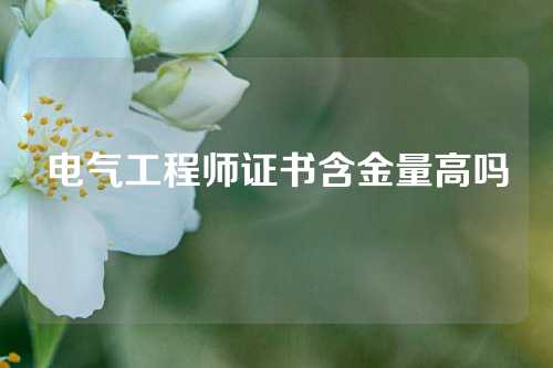 电气工程师证书含金量高吗