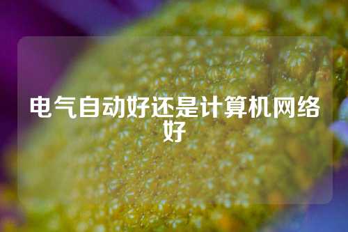 电气自动好还是计算机网络好