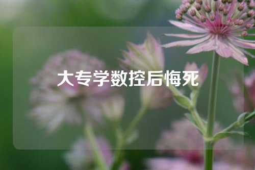 大专学数控后悔死