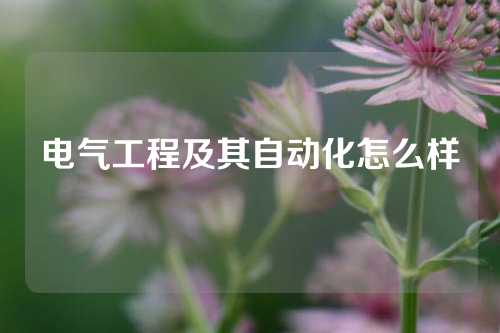 电气工程及其自动化怎么样