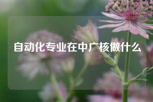 自动化专业在中广核做什么