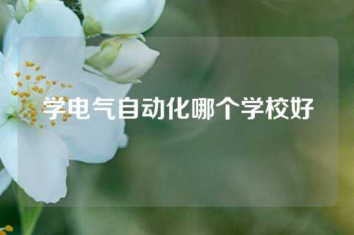 学电气自动化哪个学校好