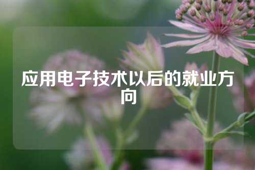 应用电子技术以后的就业方向