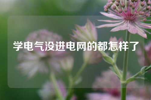 学电气没进电网的都怎样了