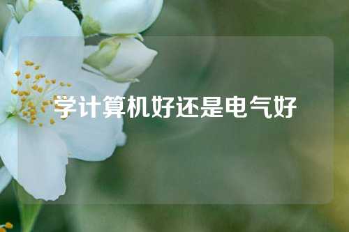 学计算机好还是电气好