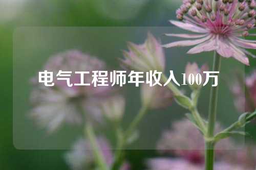 电气工程师年收入100万