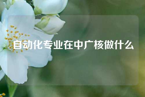 自动化专业在中广核做什么