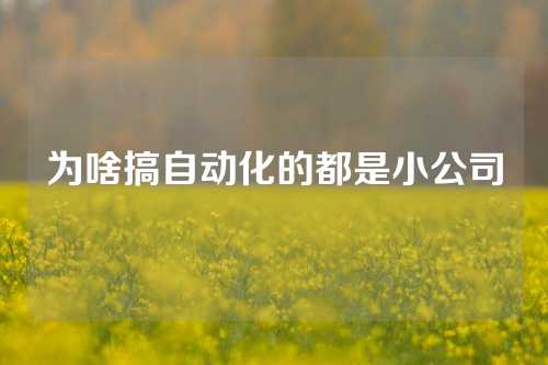 为啥搞自动化的都是小公司