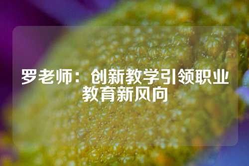 罗老师：创新教学引领职业教育新风向