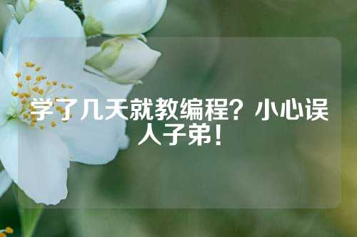 学了几天就教编程？小心误人子弟！