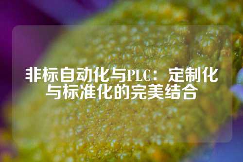 非标自动化与PLC：定制化与标准化的完美结合