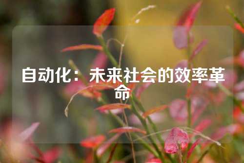 自动化：未来社会的效率革命