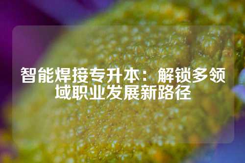 智能焊接专升本：解锁多领域职业发展新路径