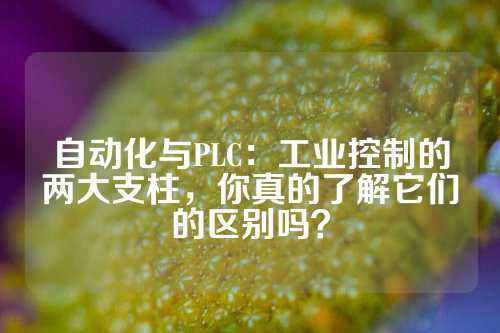 自动化与PLC：工业控制的两大支柱，你真的了解它们的区别吗？