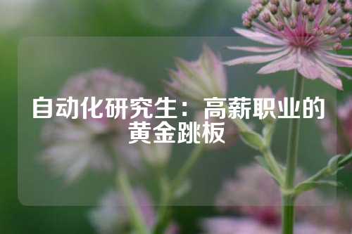 自动化研究生：高薪职业的黄金跳板