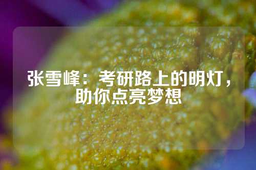 张雪峰：考研路上的明灯，助你点亮梦想