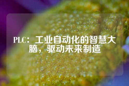 PLC：工业自动化的智慧大脑，驱动未来制造