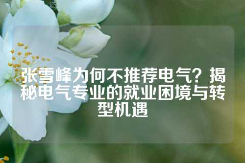 张雪峰为何不推荐电气？揭秘电气专业的就业困境与转型机遇