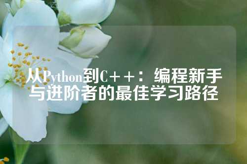 从Python到C++：编程新手与进阶者的最佳学习路径