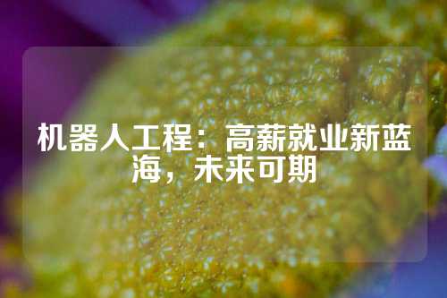 机器人工程：高薪就业新蓝海，未来可期