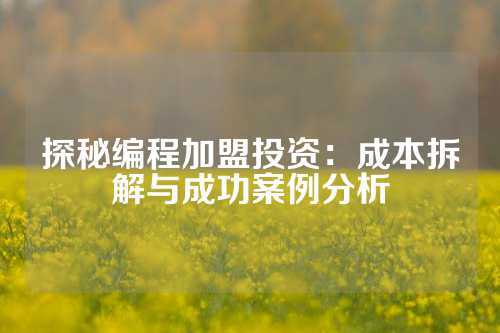 探秘编程加盟投资：成本拆解与成功案例分析