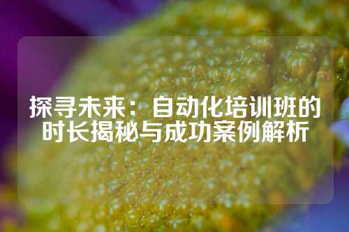 探寻未来：自动化培训班的时长揭秘与成功案例解析