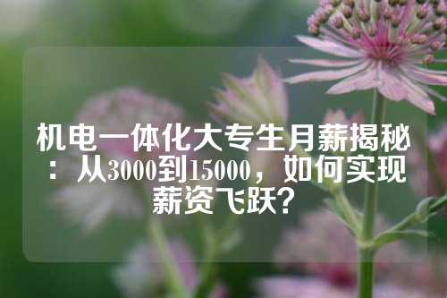 机电一体化大专生月薪揭秘：从3000到15000，如何实现薪资飞跃？