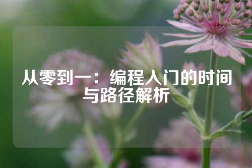 从零到一：编程入门的时间与路径解析