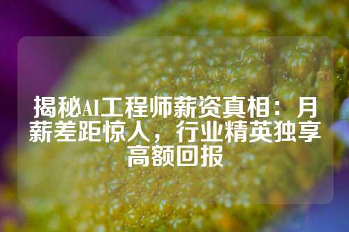 揭秘AI工程师薪资真相：月薪差距惊人，行业精英独享高额回报