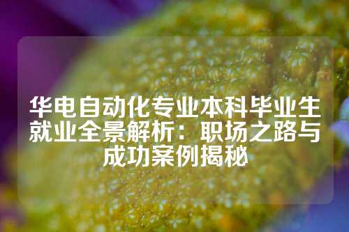 华电自动化专业本科毕业生就业全景解析：职场之路与成功案例揭秘