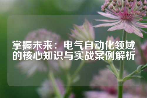 掌握未来：电气自动化领域的核心知识与实战案例解析