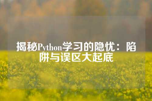 揭秘Python学习的隐忧：陷阱与误区大起底